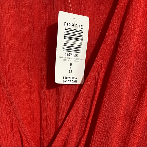 119. TORRID Dress - Red Crinkle Gauze - Picture 4 of 8